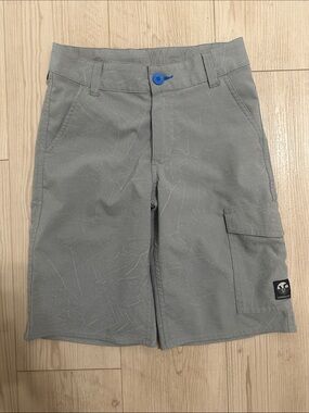 Vans Gray Kids Cargo Shorts with Blue Button